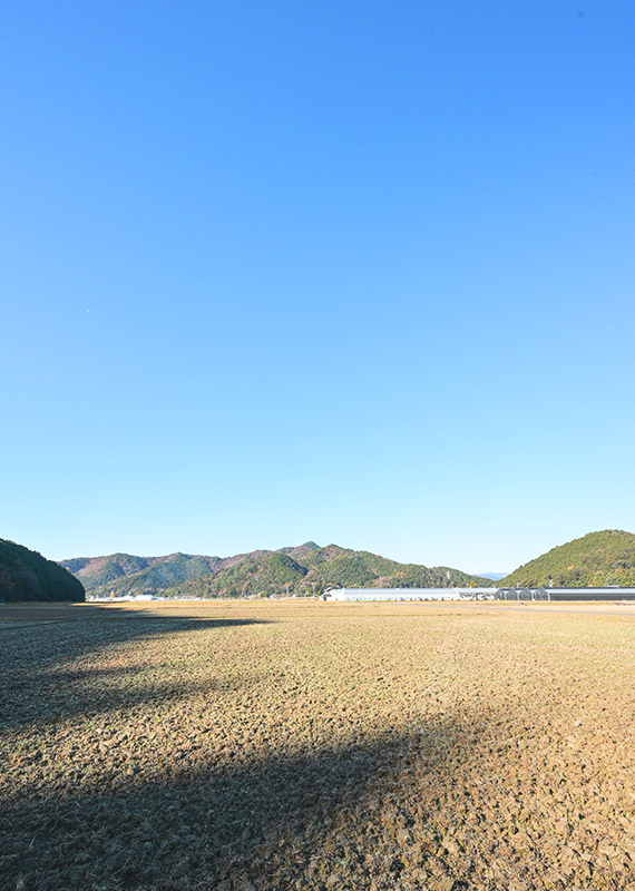 長泉寺から見た風景